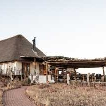 Desert Homestead Lodge - 208634