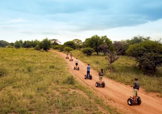 Finfoot Lake Reserve - 209037