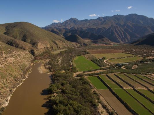 Matjiesvlei Cottages - 209168