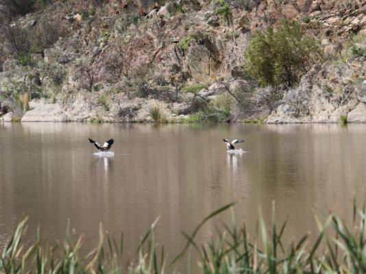 Matjiesvlei Cottages - 209173