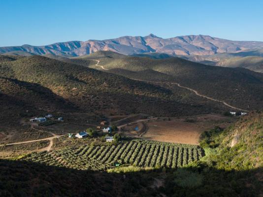 Matjiesvlei Cottages - 209175