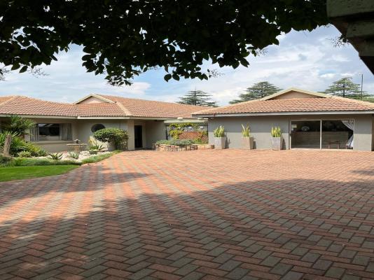 Euforia Guesthouse - 209265
