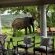 Gorah Elephant Camp - 209977
