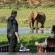Gorah Elephant Camp - 209983