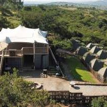 Tala Private Game Reserve - 210040