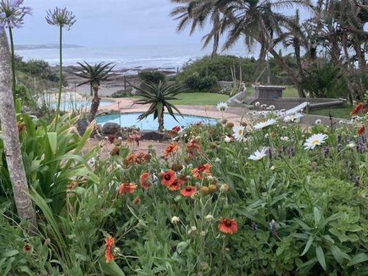 Seagulls Beach Hotel - 210233