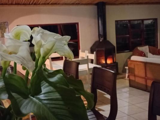 Seagulls Beach Hotel - 210238
