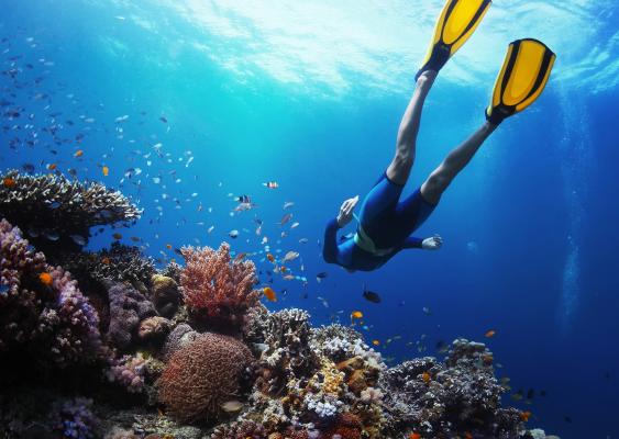 Blue Marlin Hotel - 210383