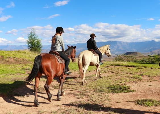 Little Switzerland - 210426