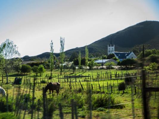 Karoo Art Hotel - 210693