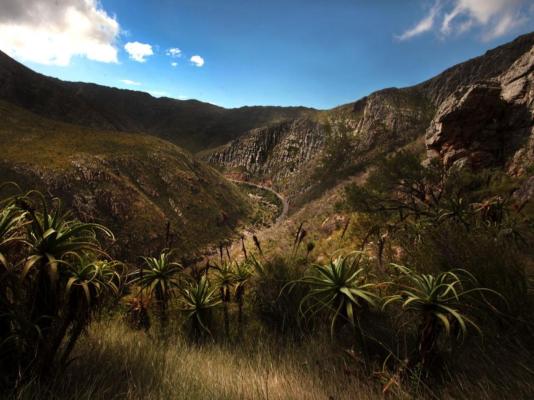 Karoo Art Hotel - 210694