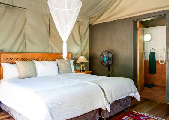 Jackalberry Ridge - 210848