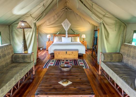 Jackalberry Ridge - 210855