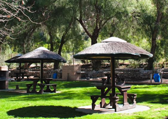 Avalon Springs - 211011