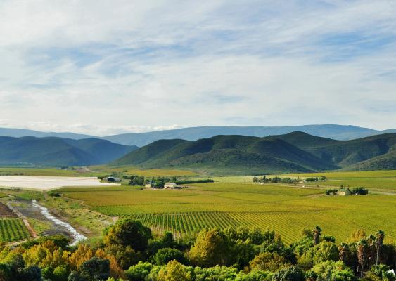 Avalon Springs - 211033