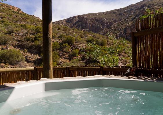 Avalon Springs - 211057