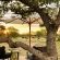 Etosha Oberland Lodge - 211882