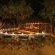 Nkorho Bush Lodge - 212864 Nkorho Bush Lodge - 212864