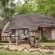 Nkorho Bush Lodge - 212876 Nkorho Bush Lodge - 212876