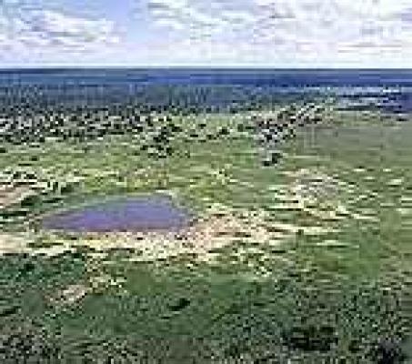 Hwange National Park