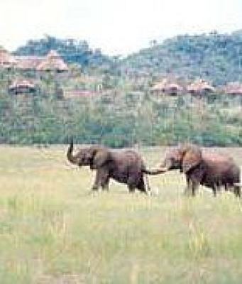 Hwange National Park