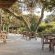 Thonga Beach Lodge - 213434