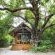 Kosi Forest Lodge - 213500