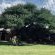 Kameelboom Lodge - 213622