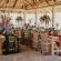 Mopane Bush Lodge - 213999
