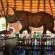 Mopane Bush Lodge - 214014
