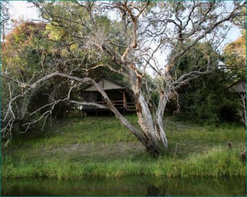 Zambezi Dusk - 214131