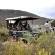 African Game Lodge - 214459