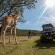 Areena Riverside Resort & Private Game Reserve - 215154