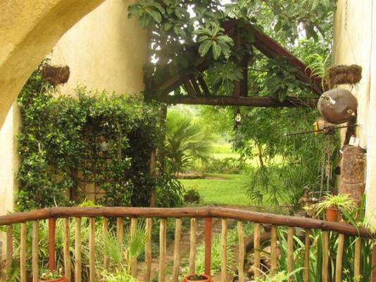 Hazyview Country Cottages - 215616