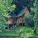 Sycamore Avenue Treehouses - 216928