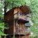 Sycamore Avenue Treehouses - 216966