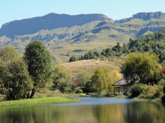 Mkomazana Mountain Cottages - 217907