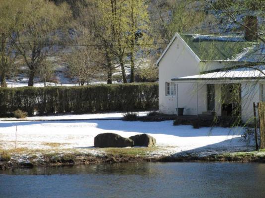 Mkomazana Mountain Cottages - 217917