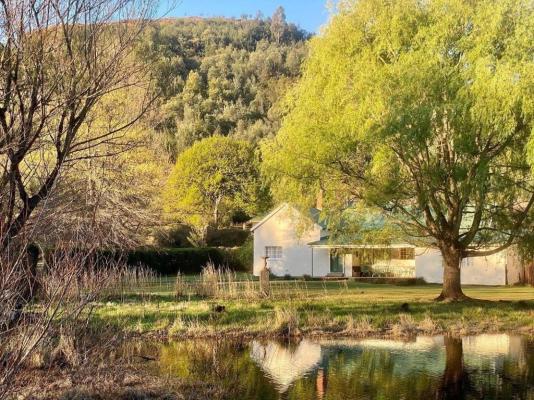 Mkomazana Mountain Cottages - 217950