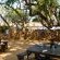Honeyguide Ranger Camp - 218304