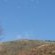 Nguni Rest - 218347 Nguni Rest - 218347