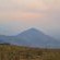Nguni Rest - 218349 Nguni Rest - 218349