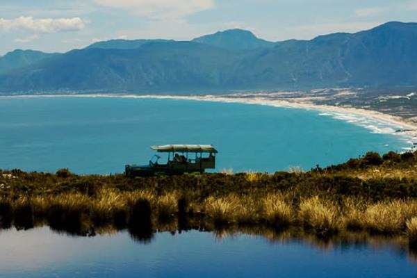 Gansbaai & Surrounds