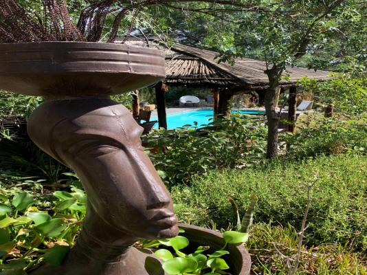 Karoo Soul Backpackers & Cottages - 219637