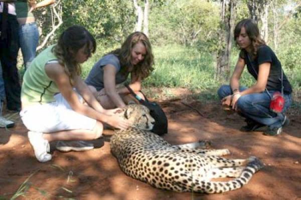 Tshukudu Bush Camp