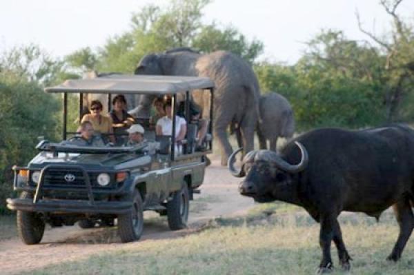 Tshukudu Bush Camp