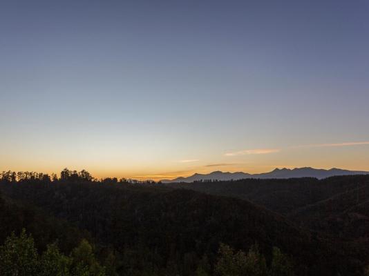 Forest Valley Cottages - 220367