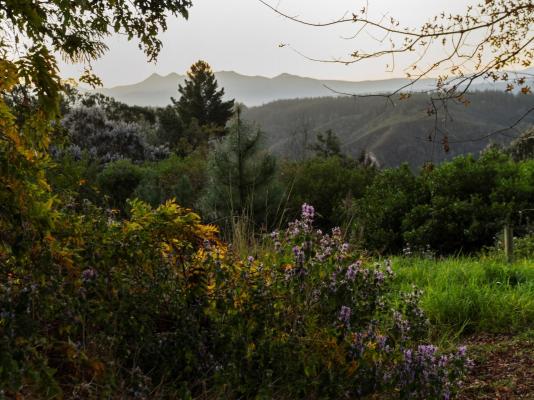 Forest Valley Cottages - 220369
