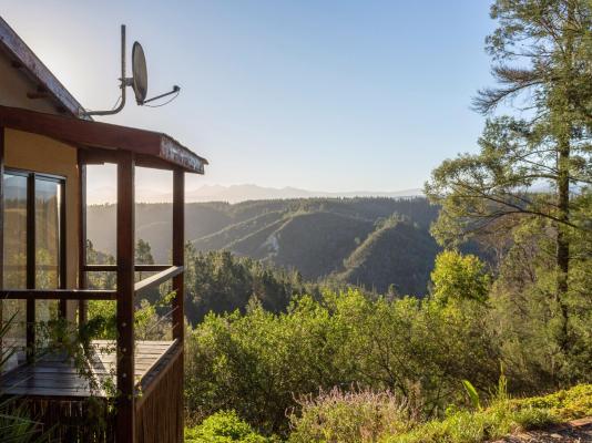 Forest Valley Cottages - 220370