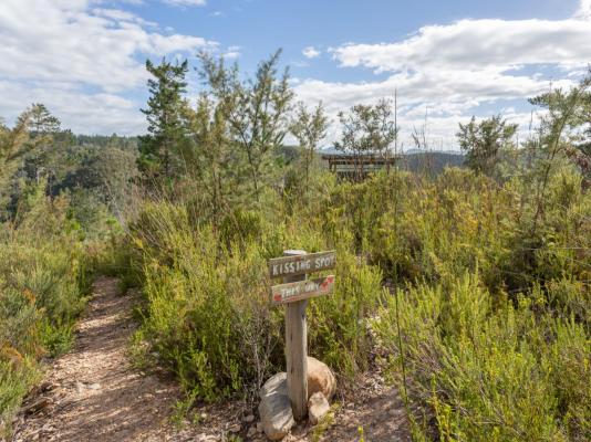 Forest Valley Cottages - 220374
